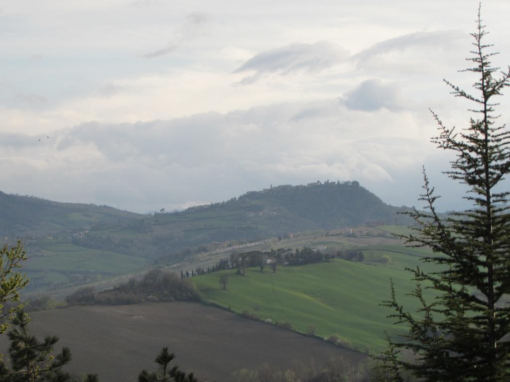 Il Leone Rosso B&B Falerone Exterior foto